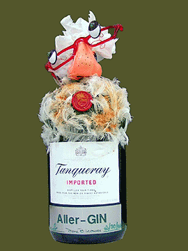 GinPeople-Aller-GIN_F