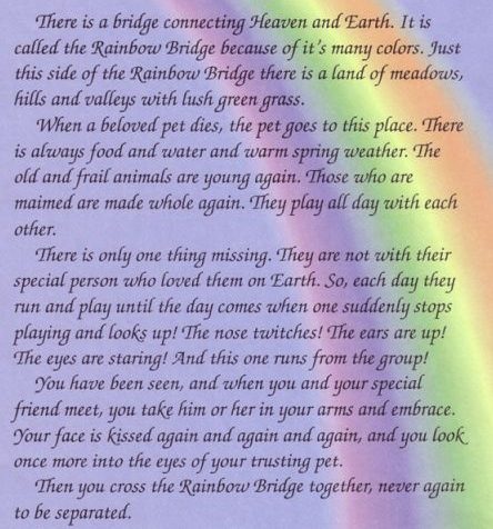 Critter-Rainbow Bridge