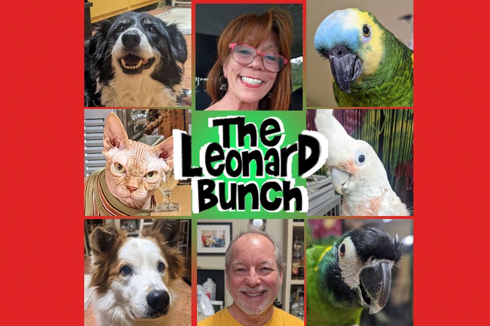 Xmas 2021 Cover RedGreen_3